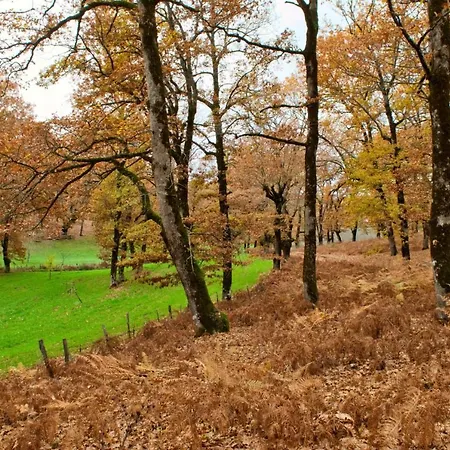 Relaxing Experiences Near بيت للعطل